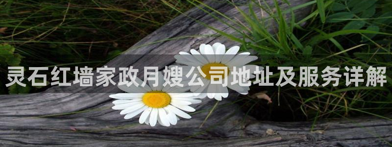 杏悦平台可靠吗可信吗是真的吗