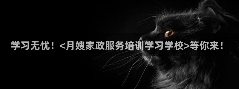 杏悦招商地址