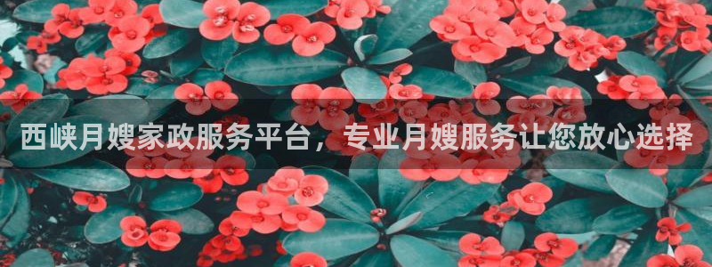 杏悦平台可靠吗是真的吗知乎