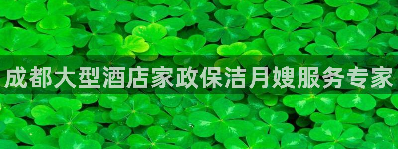 杏悦平台如何注册账号