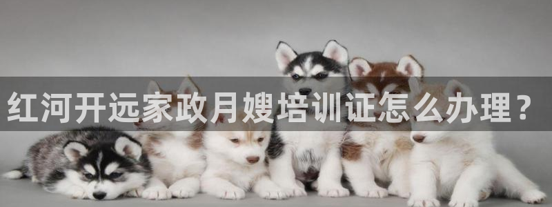 杏悦总代理
