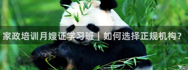 杏悦平台登陆