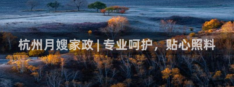 杏悦官网登录