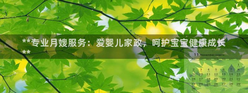 杏悦平台代理怎么做的