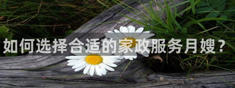 杏悦官方平台是正品吗