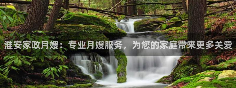 杏悦是什么平台