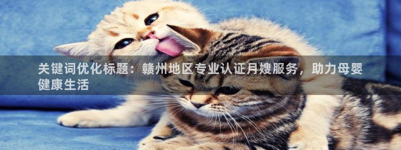 杏悦官方平台
