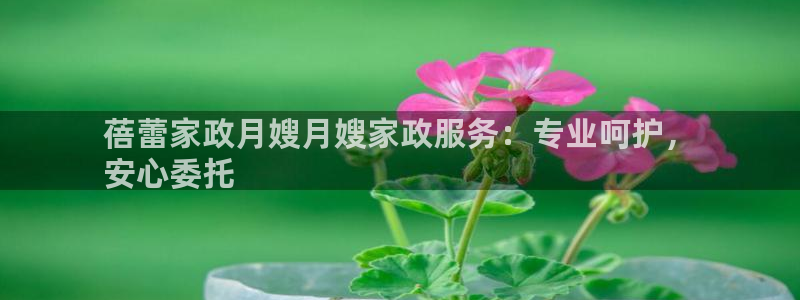 杏悦平台代理怎么样赚钱
