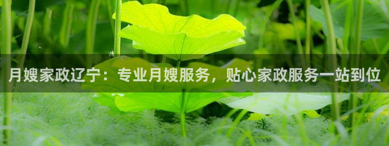 杏悦娱乐平台靠谱吗