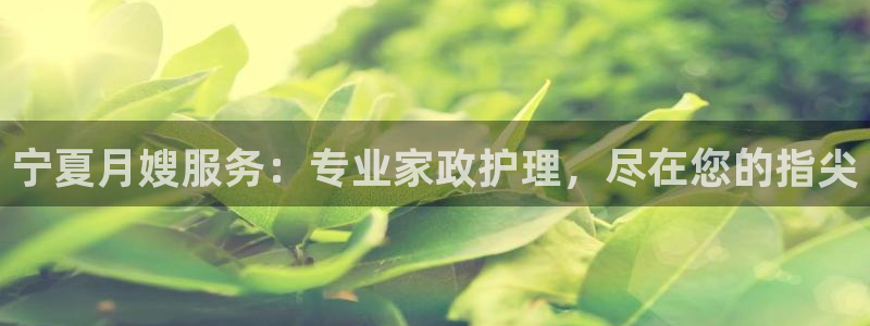 杏悦招商地址