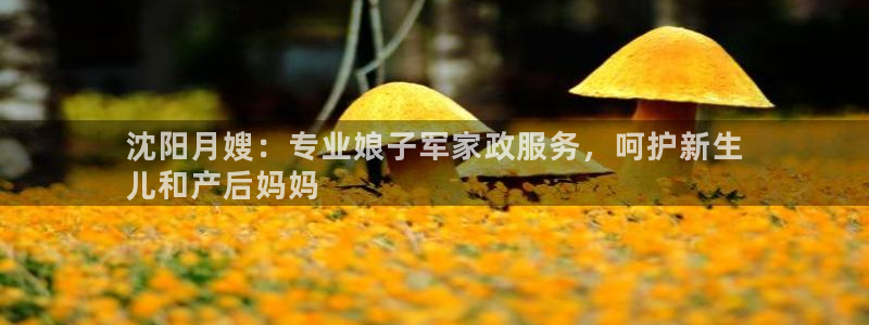 杏悦娱乐注册平台官网