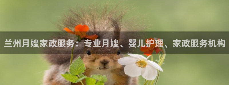 杏悦平台代理多少钱