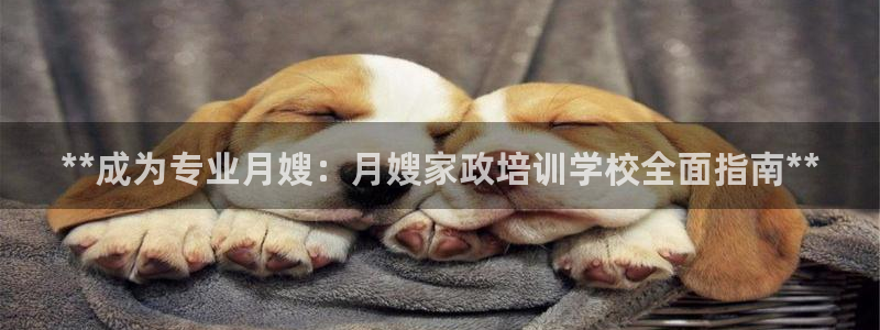 杏悦官方平台是正品吗安全吗