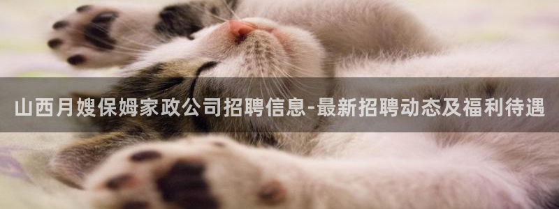 杏悦平台代理怎么做赚钱