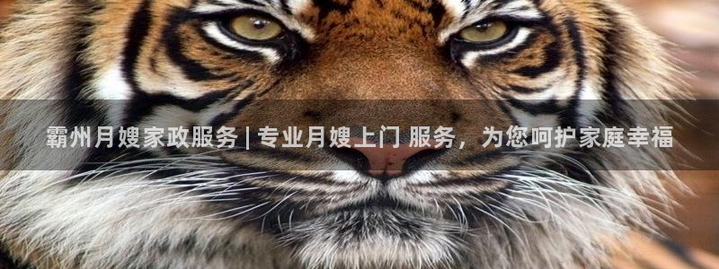 杏悦平台招商怎么样