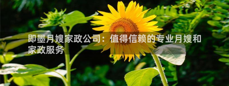 杏悦平台登录地址是什么