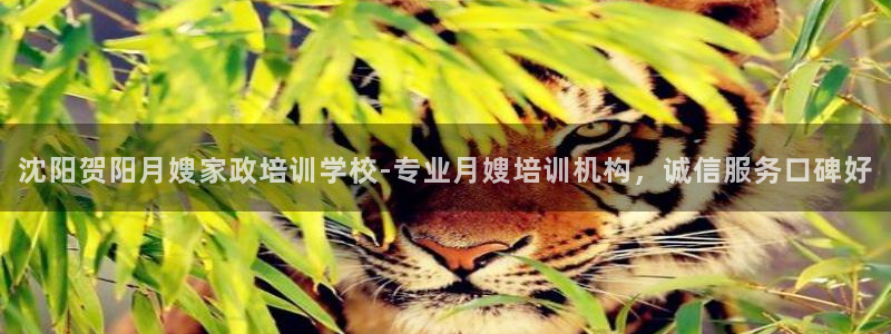 杏悦平台代理怎么样可靠吗