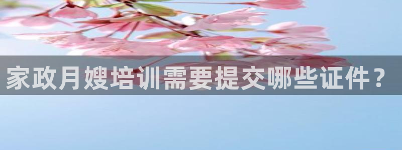 杏悦平台主管