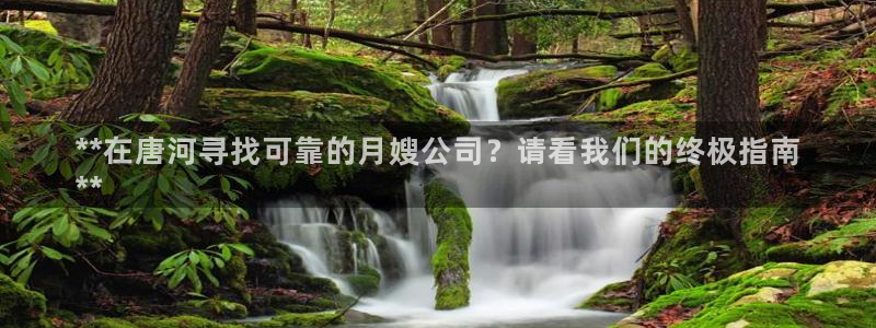 杏悦平台招商电话