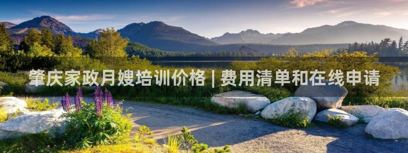 杏悦官方平台官网