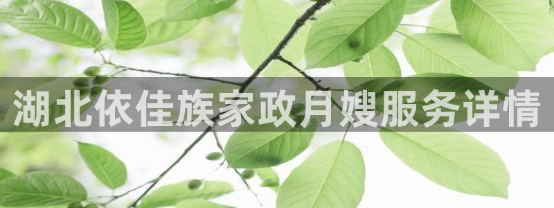 杏悦 -首选推荐平台