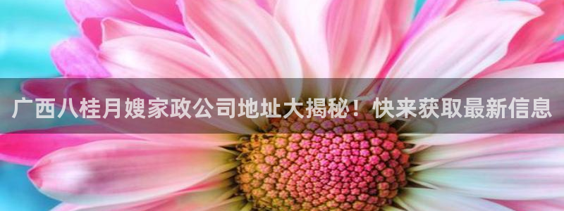 杏悦平台代理怎么样赚钱